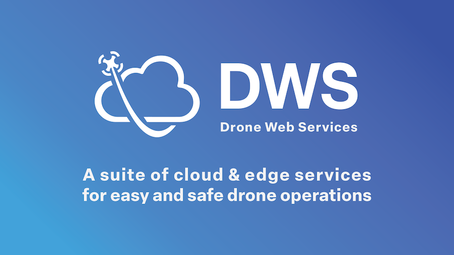 DWS Logo